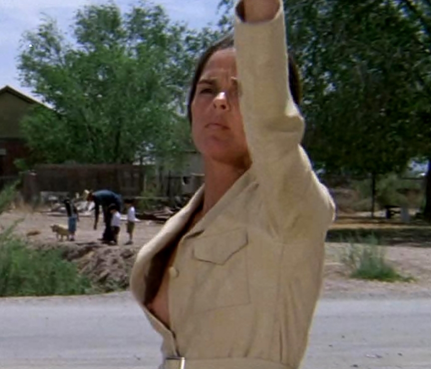 ali macgraw nude trailer park xxx gif